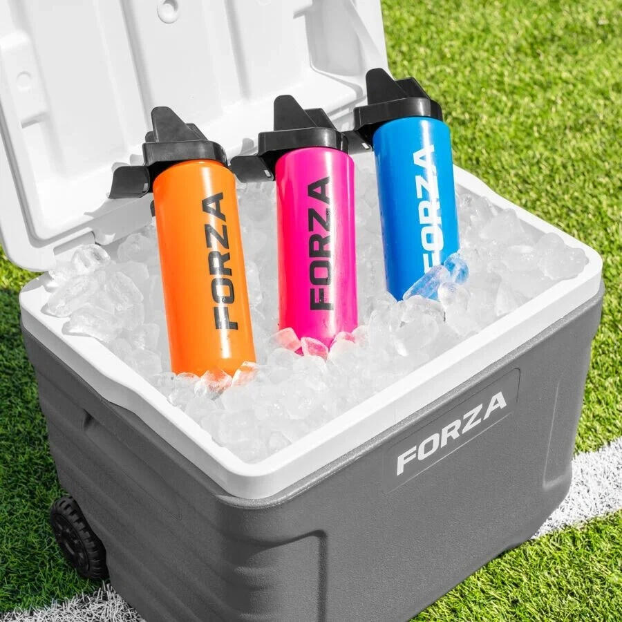 Lodówka Sportowa Na Kółkach Forza Iceguard 41 L 2/7