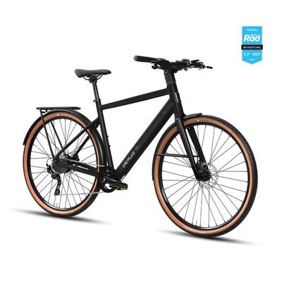 Turmali l e-bike 10-speed 36v 250w 40nm, 360wh, 110 km