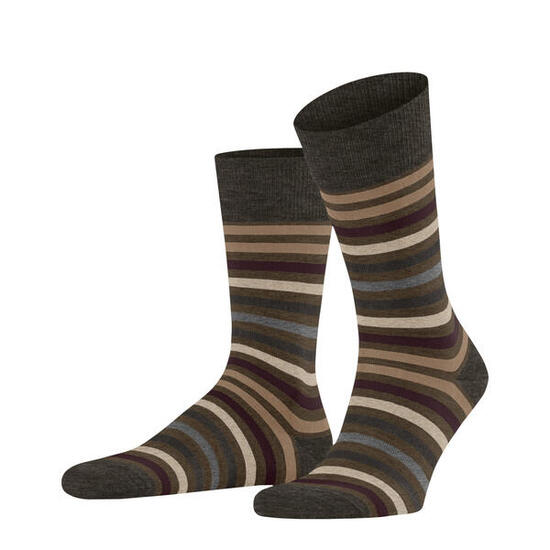 Falke Herren Socken Tinted Stripe 13279
