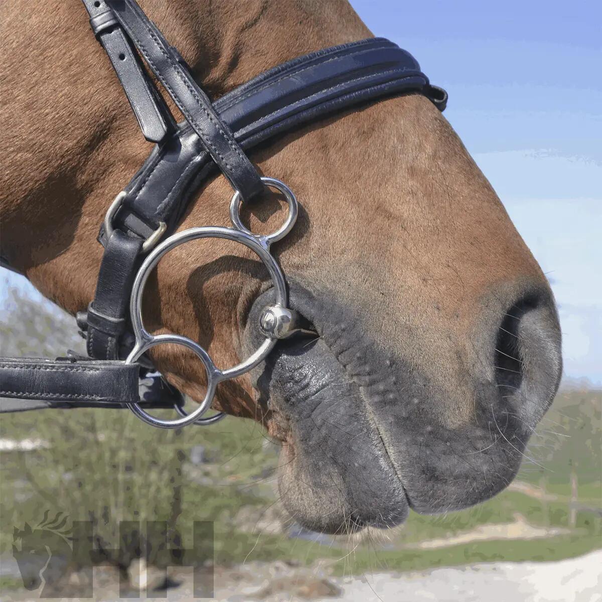 Bocado de caballo de 3 ó 4 anillas Sprenger KK 3/3