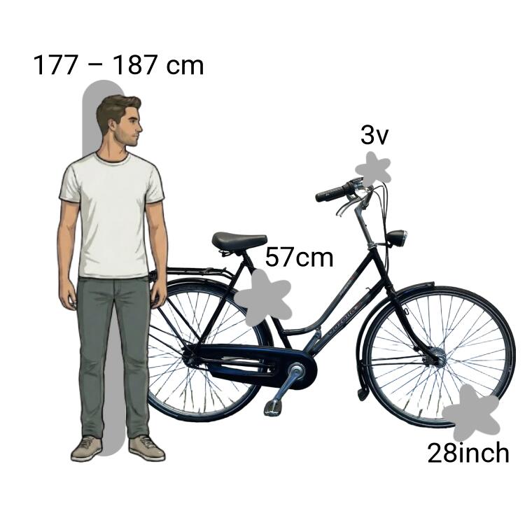 Gebraucht Gazelle Primeur 2/4