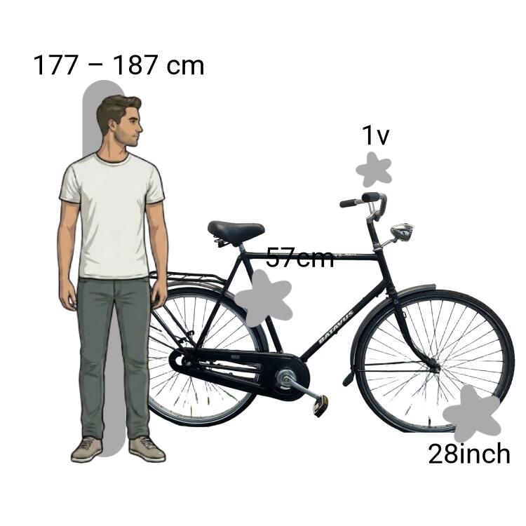 Gebraucht Batavus Retro 2/4