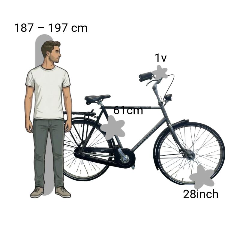 Tweedehands Gazelle Impala 2/4