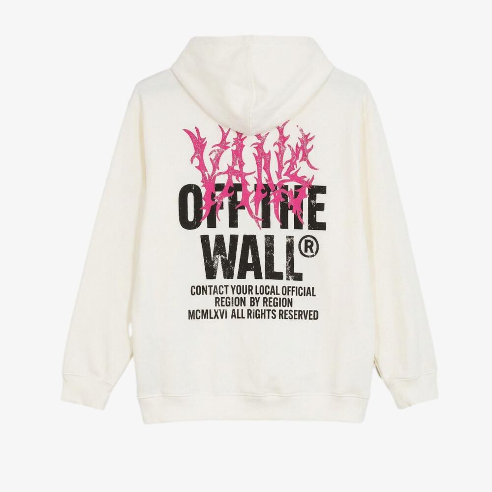 VANS picture
