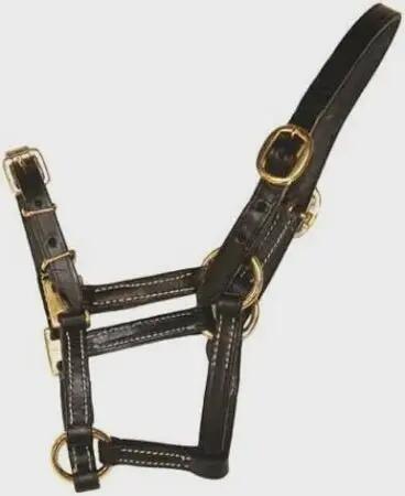 Licol en cuir fin pour cheval HFI