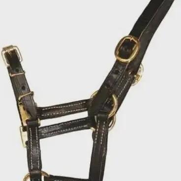Fine leather halter for horse HFI