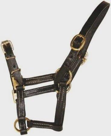 Licol en cuir fin pour cheval HFI