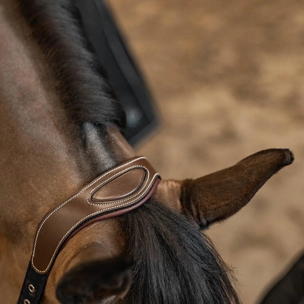 Leather and nylon halter for horses HFI Mixed
