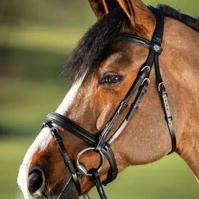 Riding bridles HFI Soft