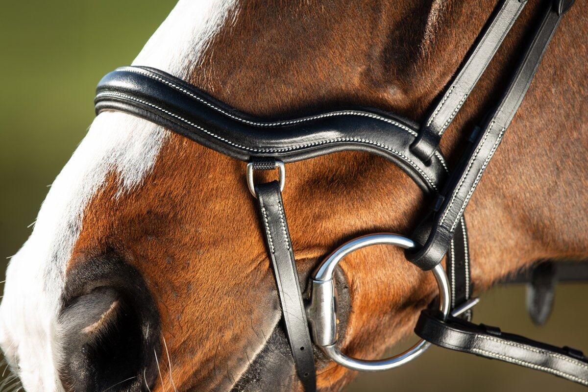Riding bridles HFI Techno 3/7