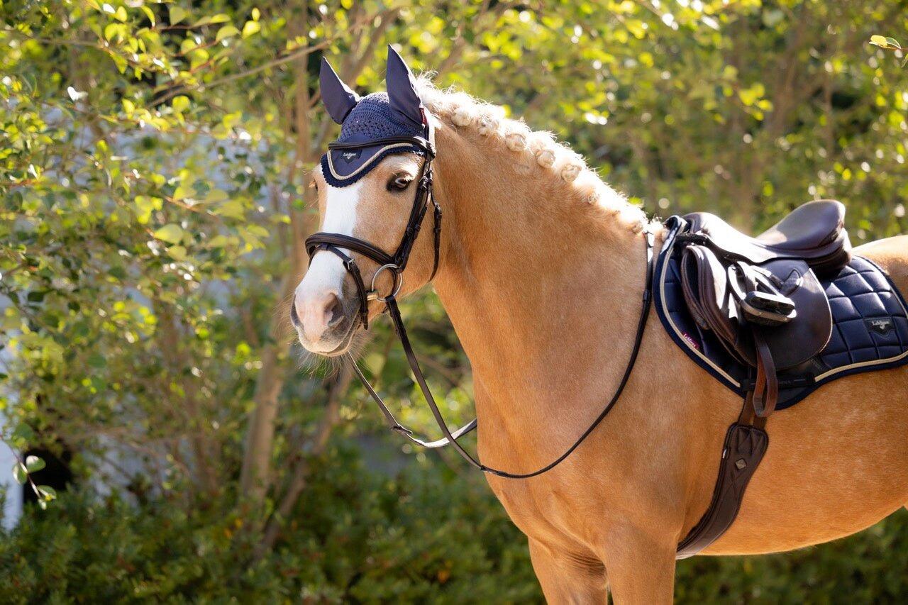 Lemieux Loire Oornetje Ss25 Blauw - 4/7