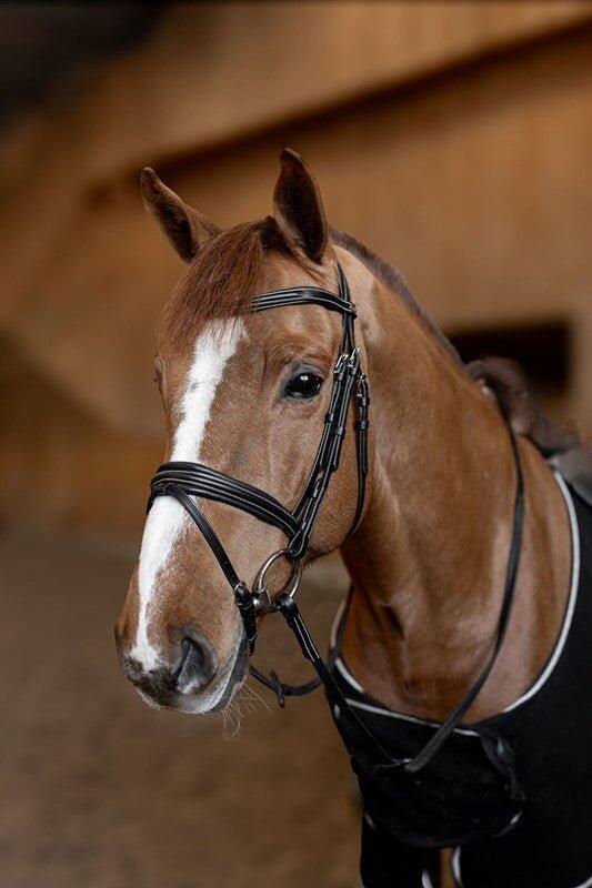 Bridon équitation anatomique HFI Padded 3/7