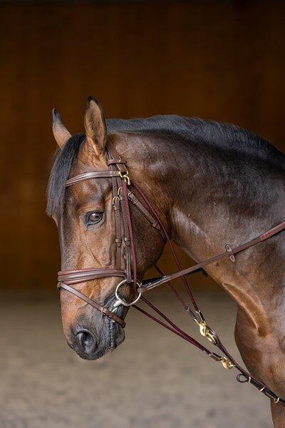 Gogue per cavallo HFI 2/7