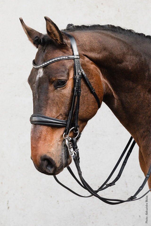 Schockemöhle Milton Stang & Trens  - 2/7