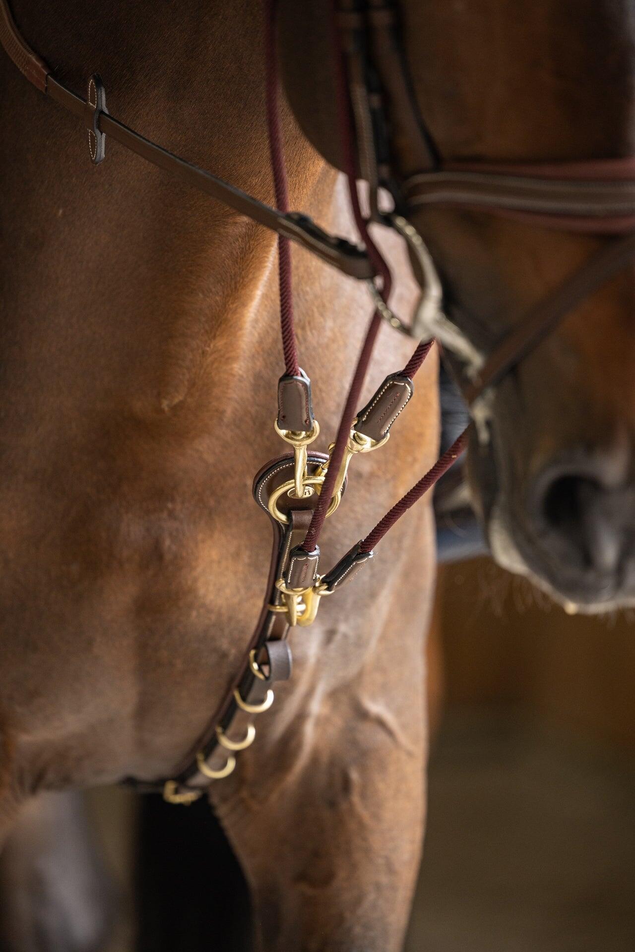 Gogue per cavallo HFI 5/7
