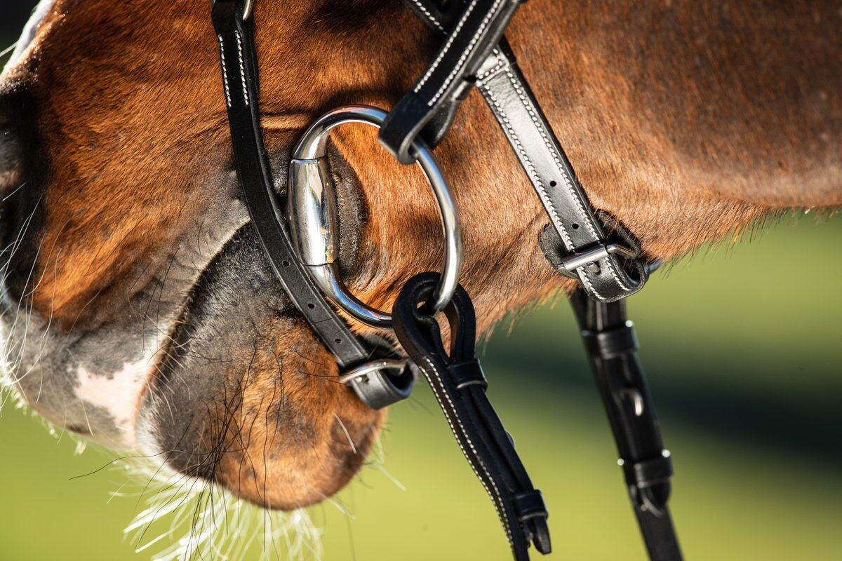 Riding bridles HFI Techno 5/7