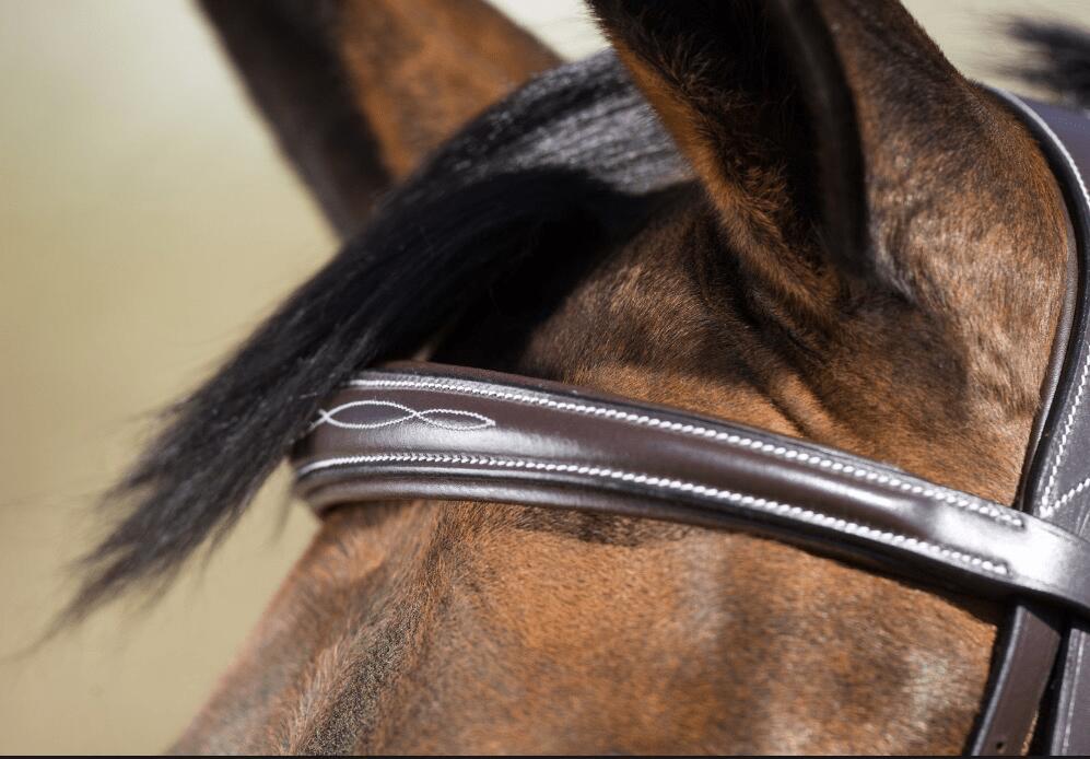 Hfi Elegant Hoofdstel Bruin - 3/4