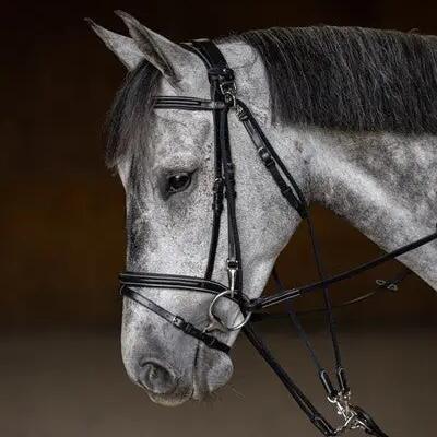 Gogue for horse HFI