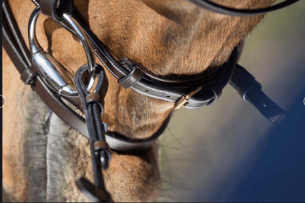 Hfi Elegant Hoofdstel Bruin - 2/4