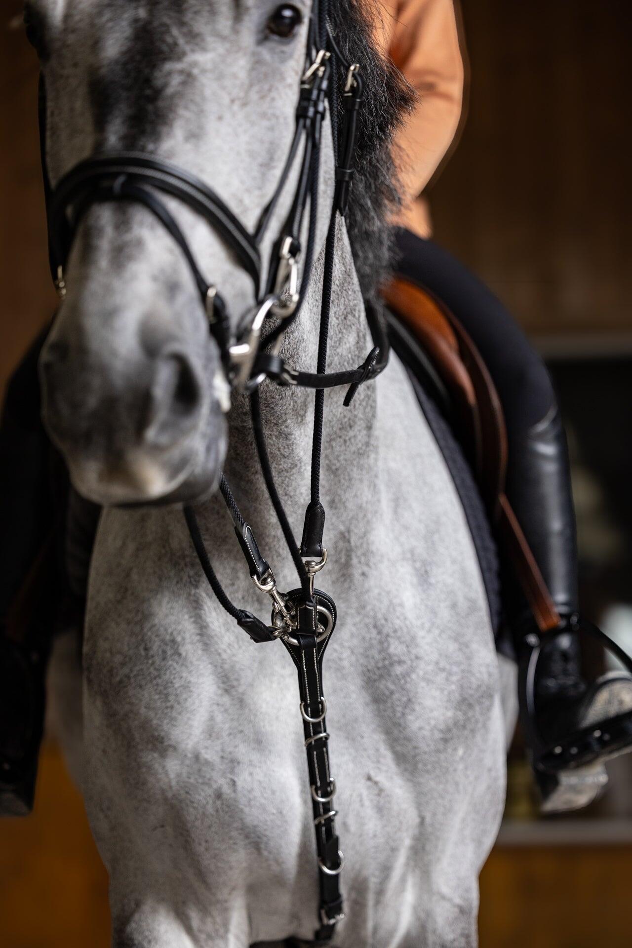 Gogue per cavallo HFI 4/7
