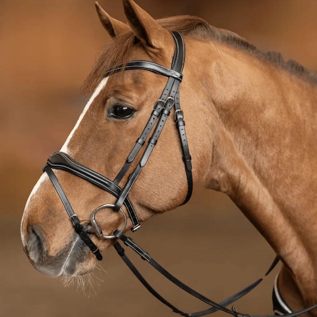 Anatomical riding bridle HFI Padded