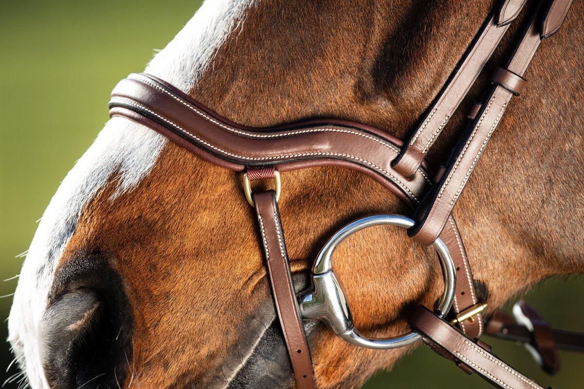 Riding bridles HFI Techno 4/7