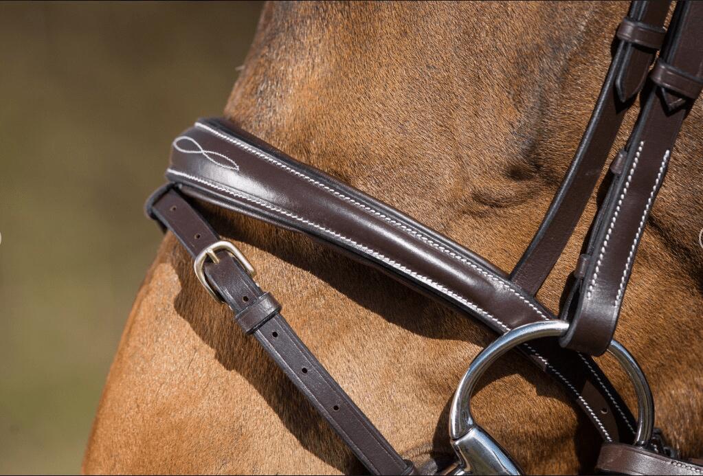 Hfi Elegant Hoofdstel Bruin - 4/4