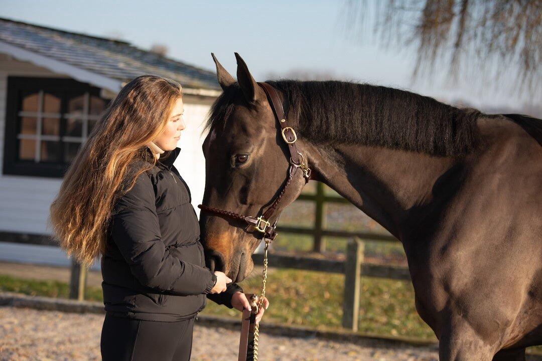 Skórzana halterka dla koni HFI Braided 2/5
