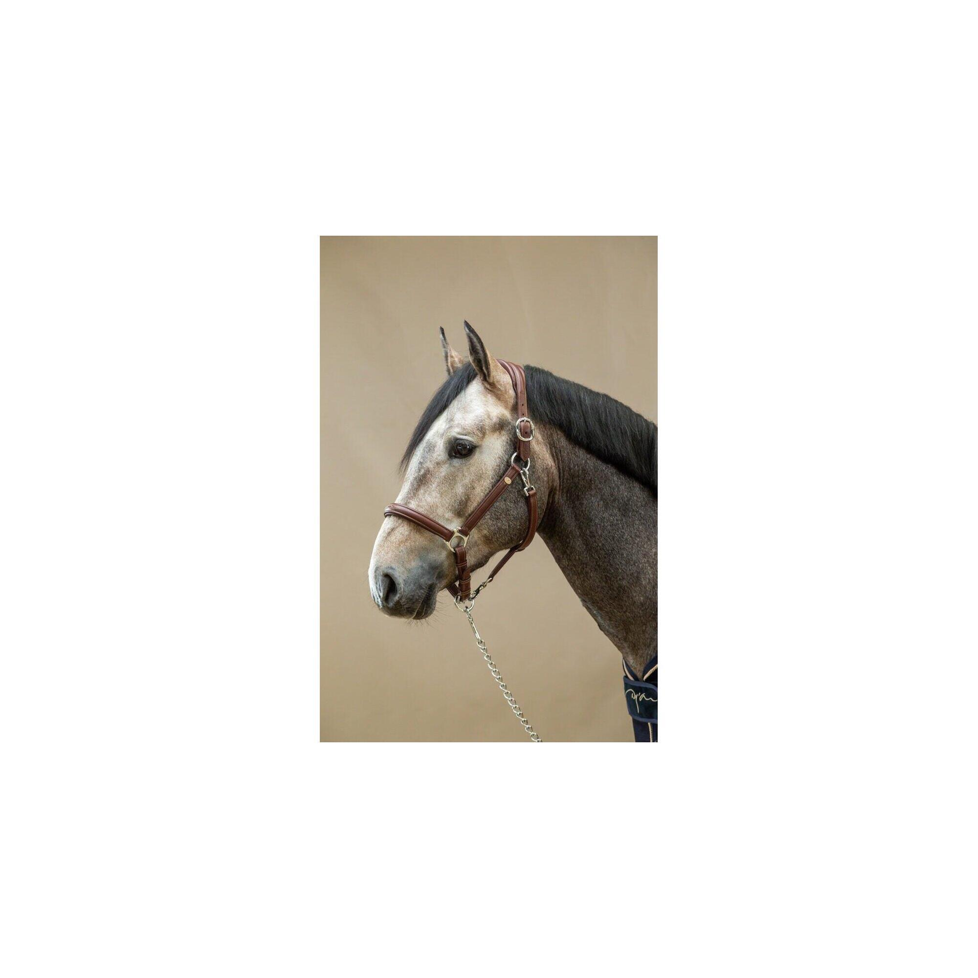 Dy'on Zacht Lederen Halster Bruin -