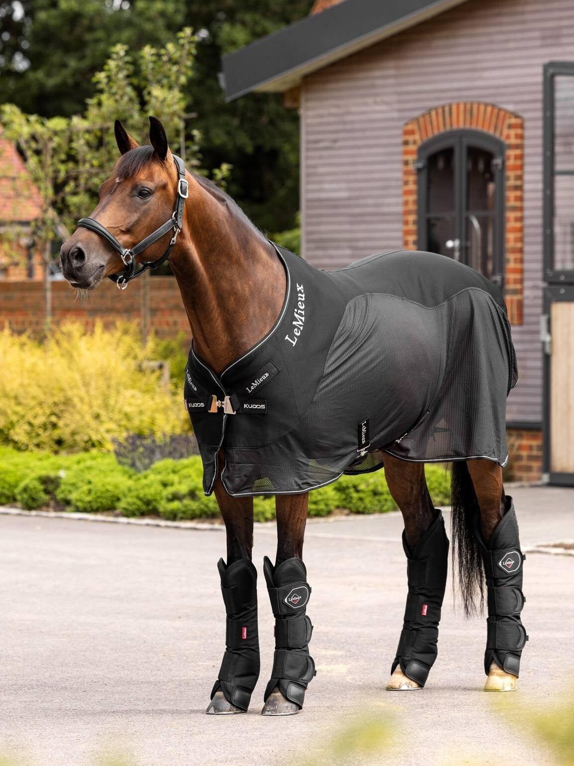 Lemieux Transport Beschermers Blauw - 5/7