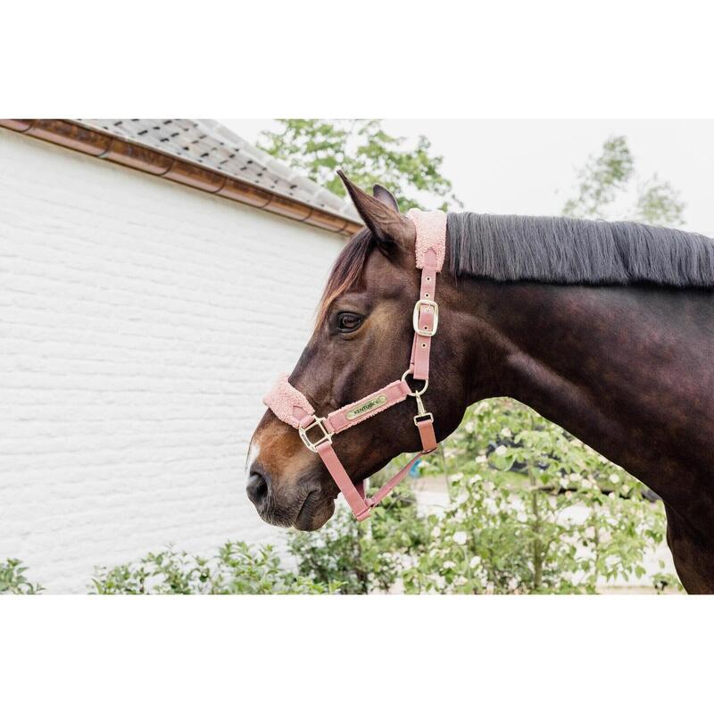 Kentucky Teddy Fleece Halster Roze -