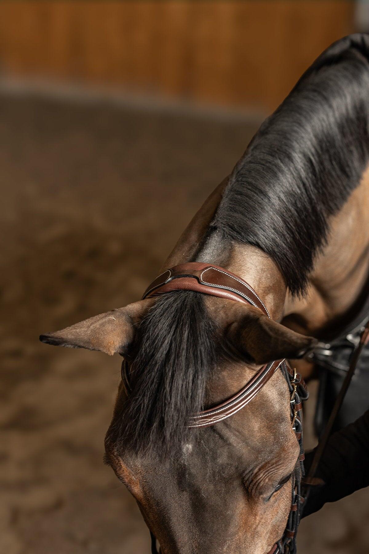 Bridon équitation muserolle combinée HFI Pro Line Milano 5/7