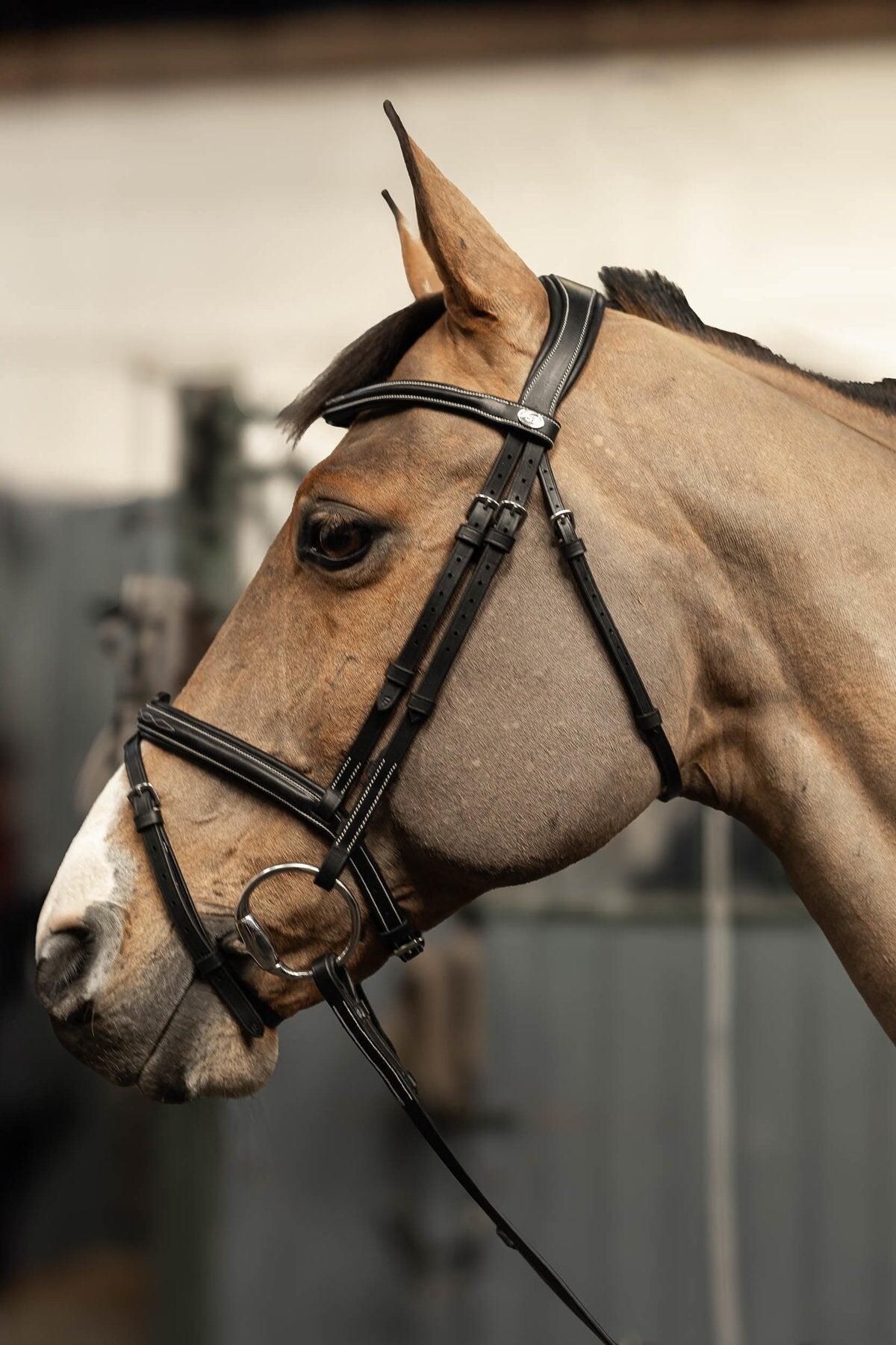 Bridon équitation muserolle combinée HFI Pro Line Milano 4/7