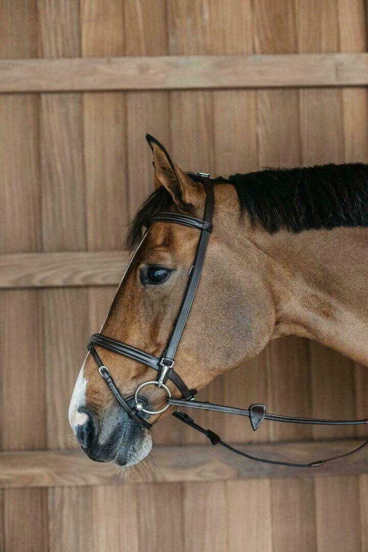Dy'on Training Hoofdstel Full Working Collection Bruin - 2/4