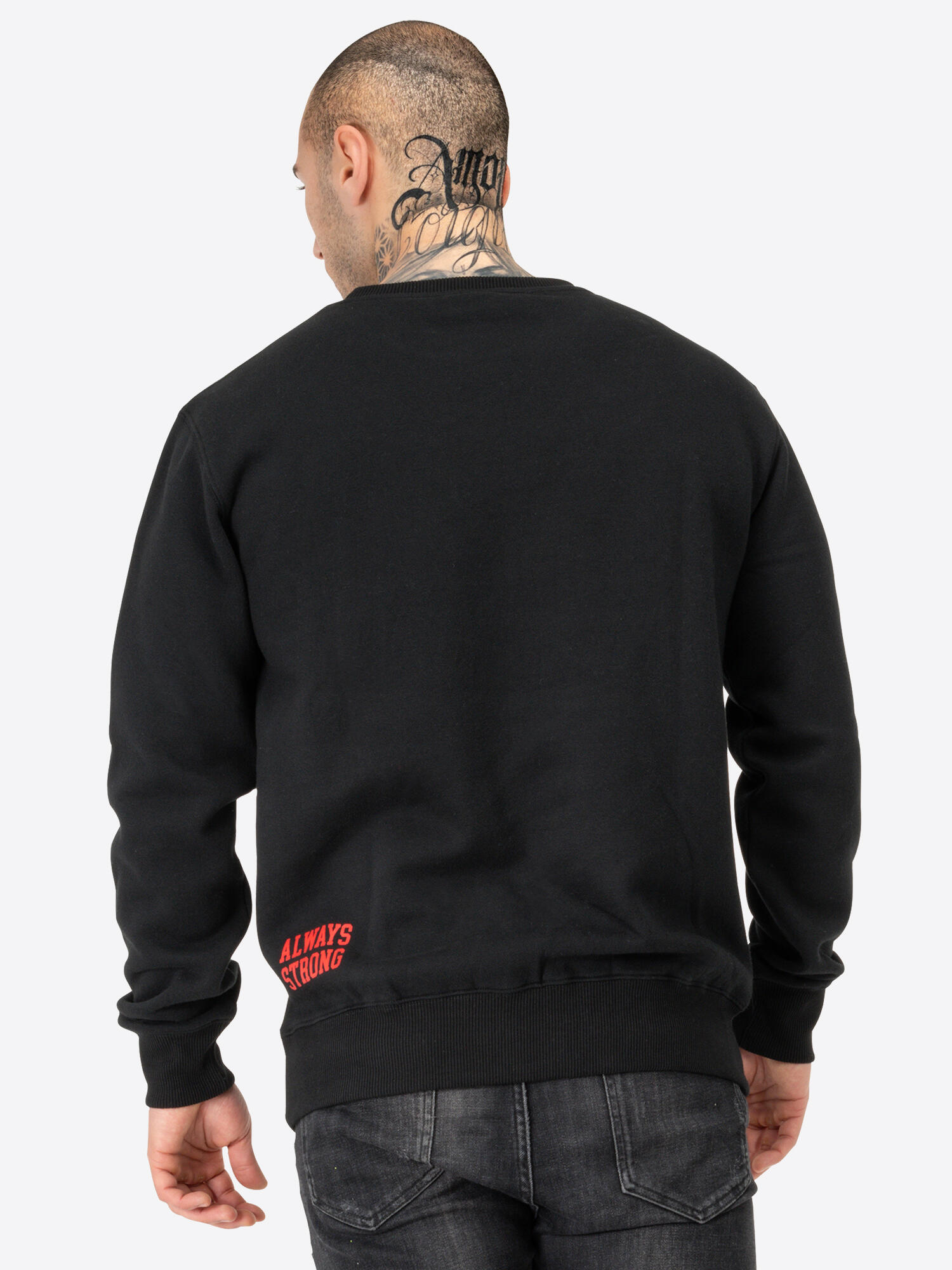 BENLEE Herren Rundhals Sweatshirt normale Passform RINSTON 4/5