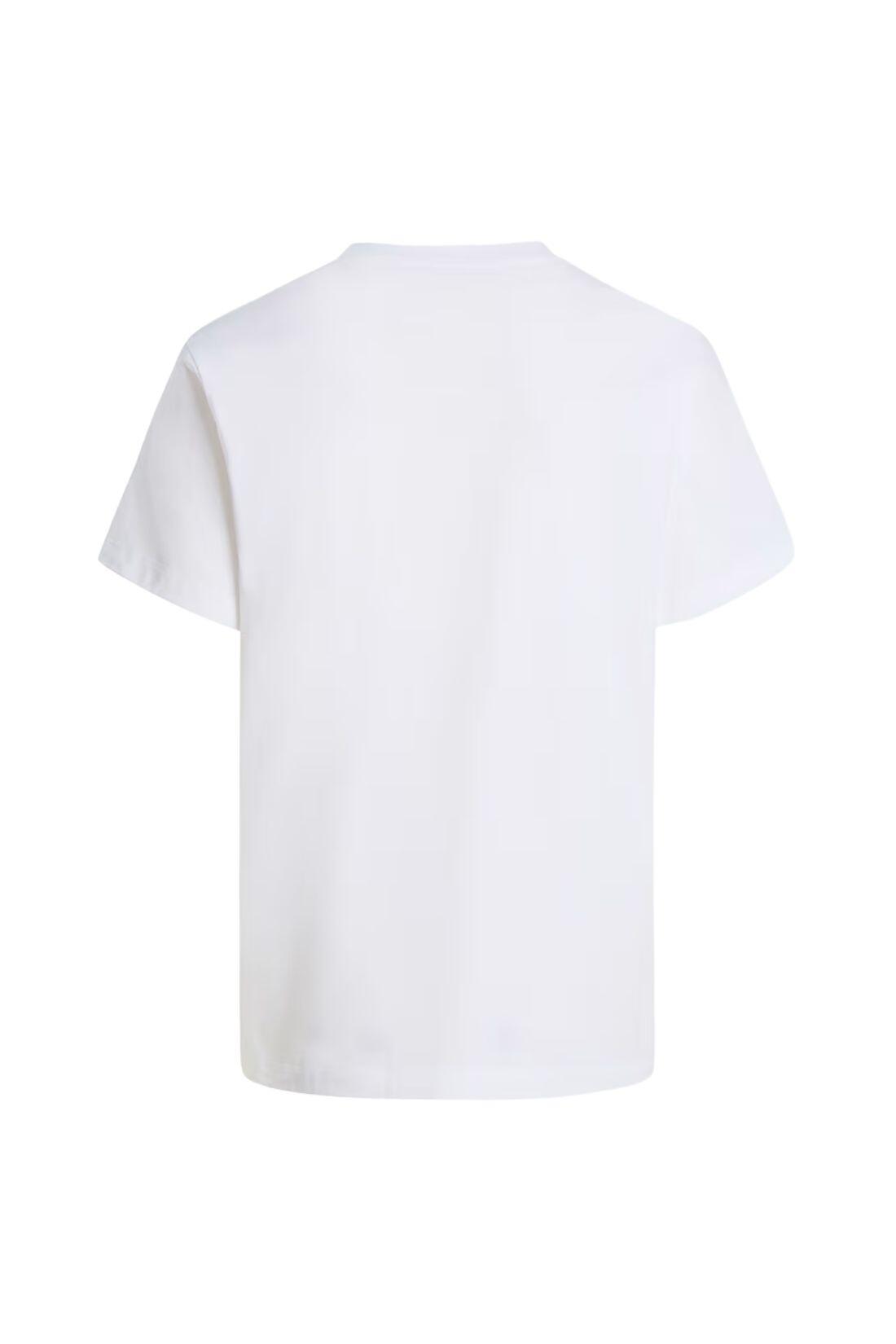 THE NORTH FACE Herren Evolution Half Dome T-Shirt 2/3