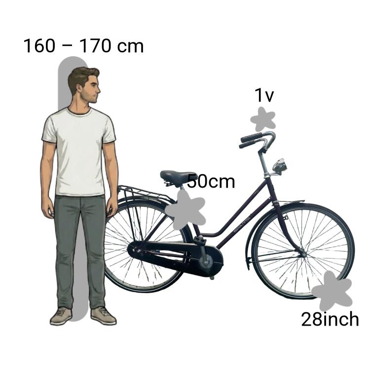 Vélo d’occasion Sparta 2/4