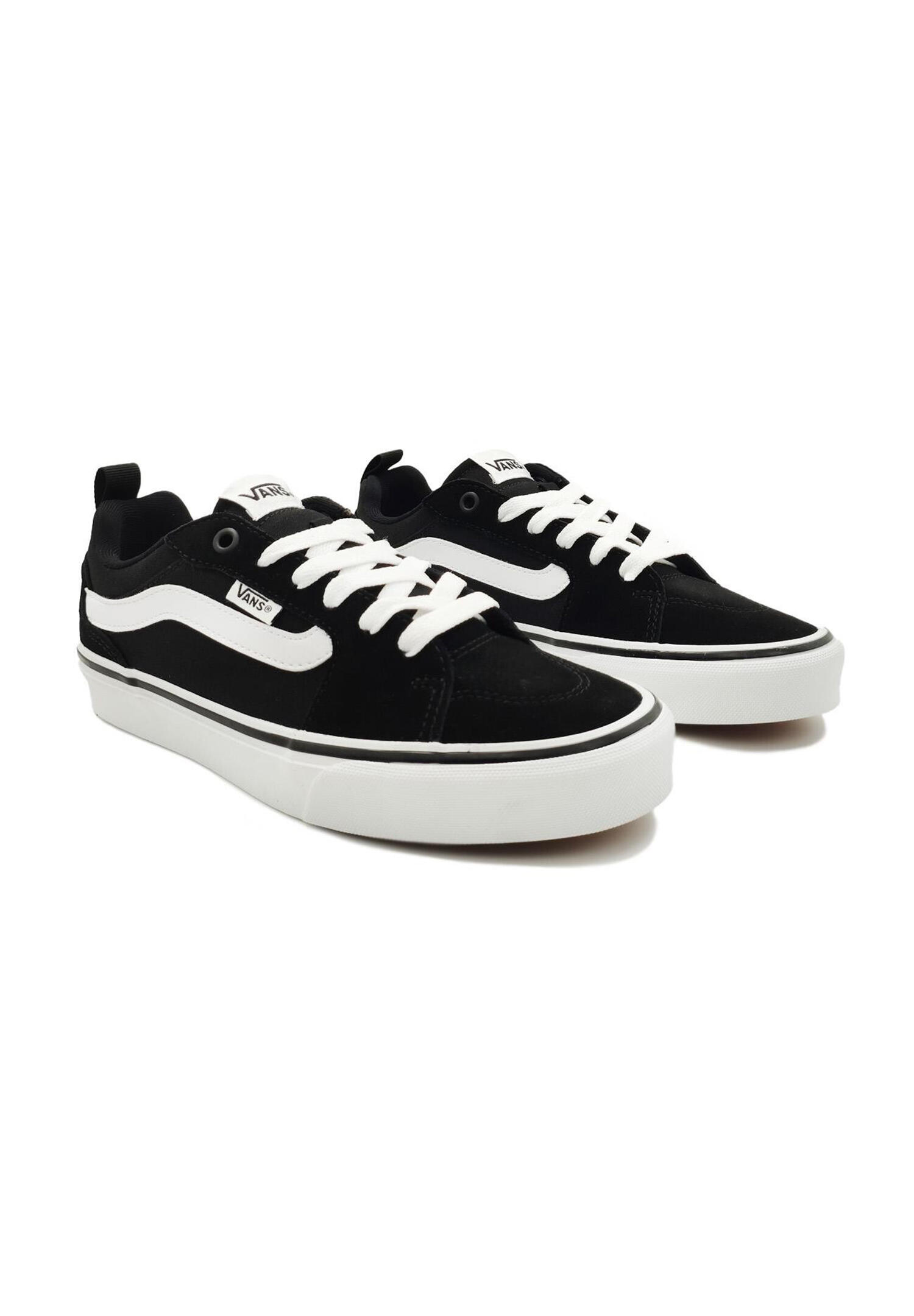 VANS picture