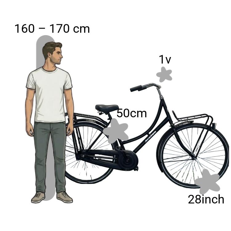 Vélo d’occasion Avalon Transportfiets 2/4
