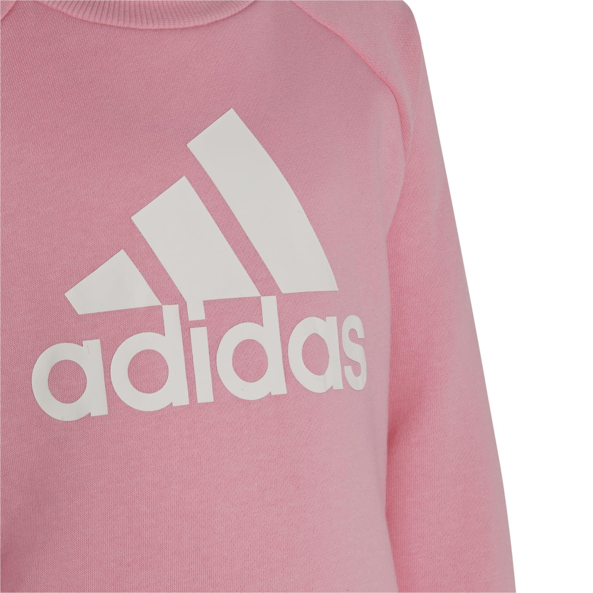 adidas Kinder Trainingsanzug Essentials Logo Fleece 3/11