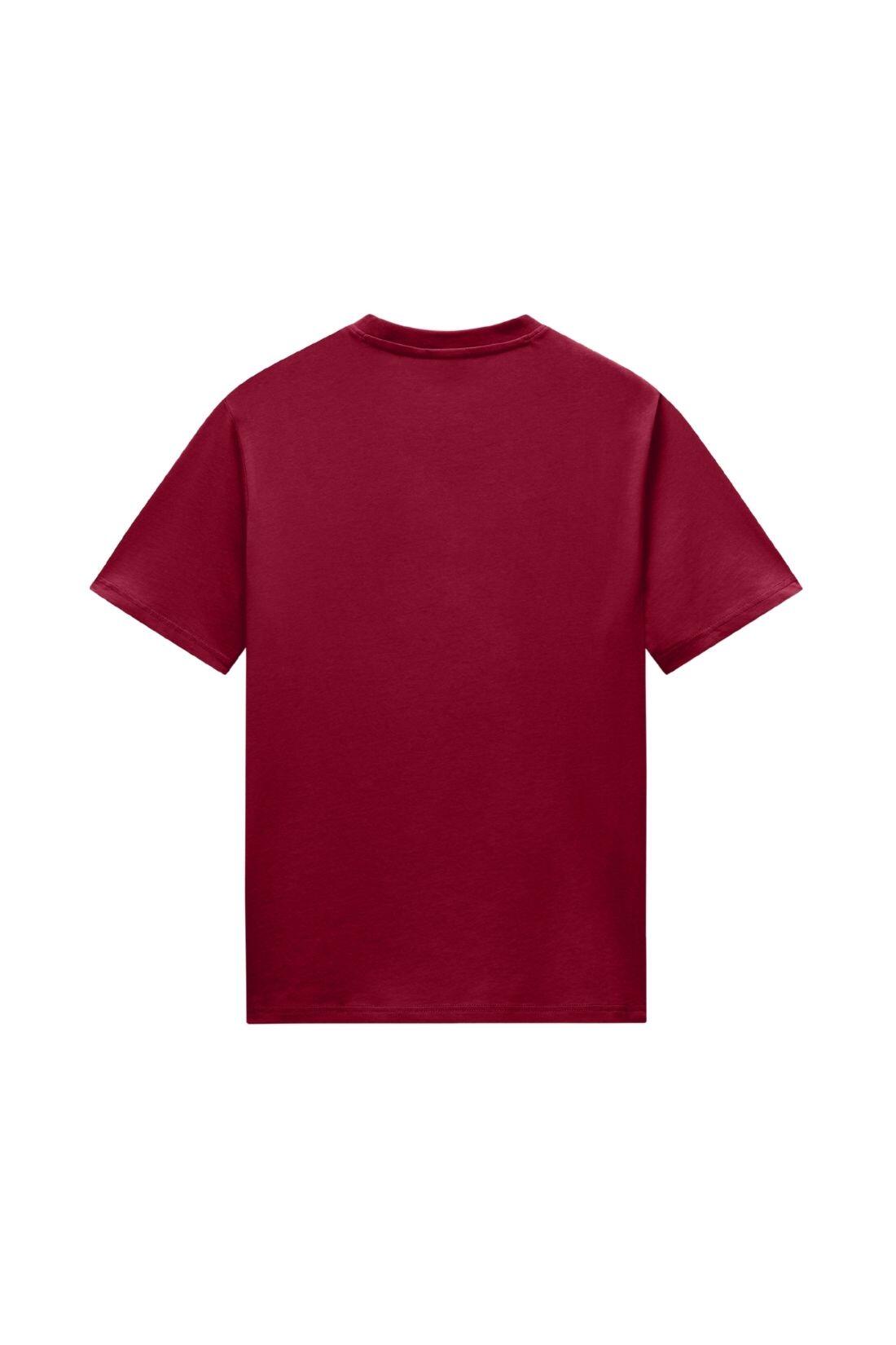 NAPAPJRI – Herren-T-Shirt Sandir 2/3