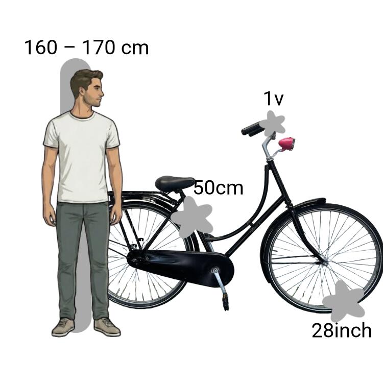 Vélo d’occasion Batavus Old Dutch 2/4