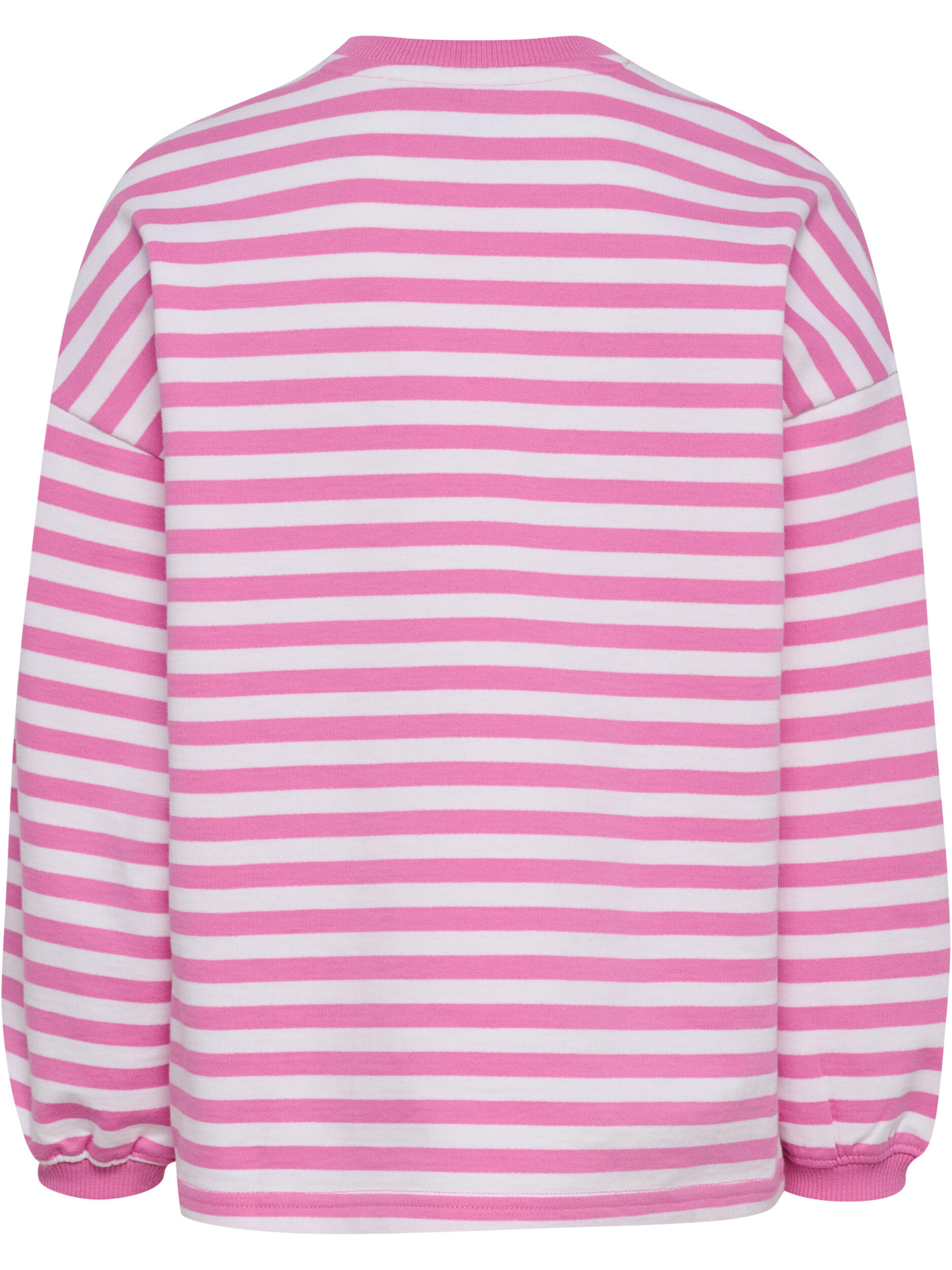 Enfiler Sweat-Shirt Hmljr Geggo Mode De Vie Enfant 6/7