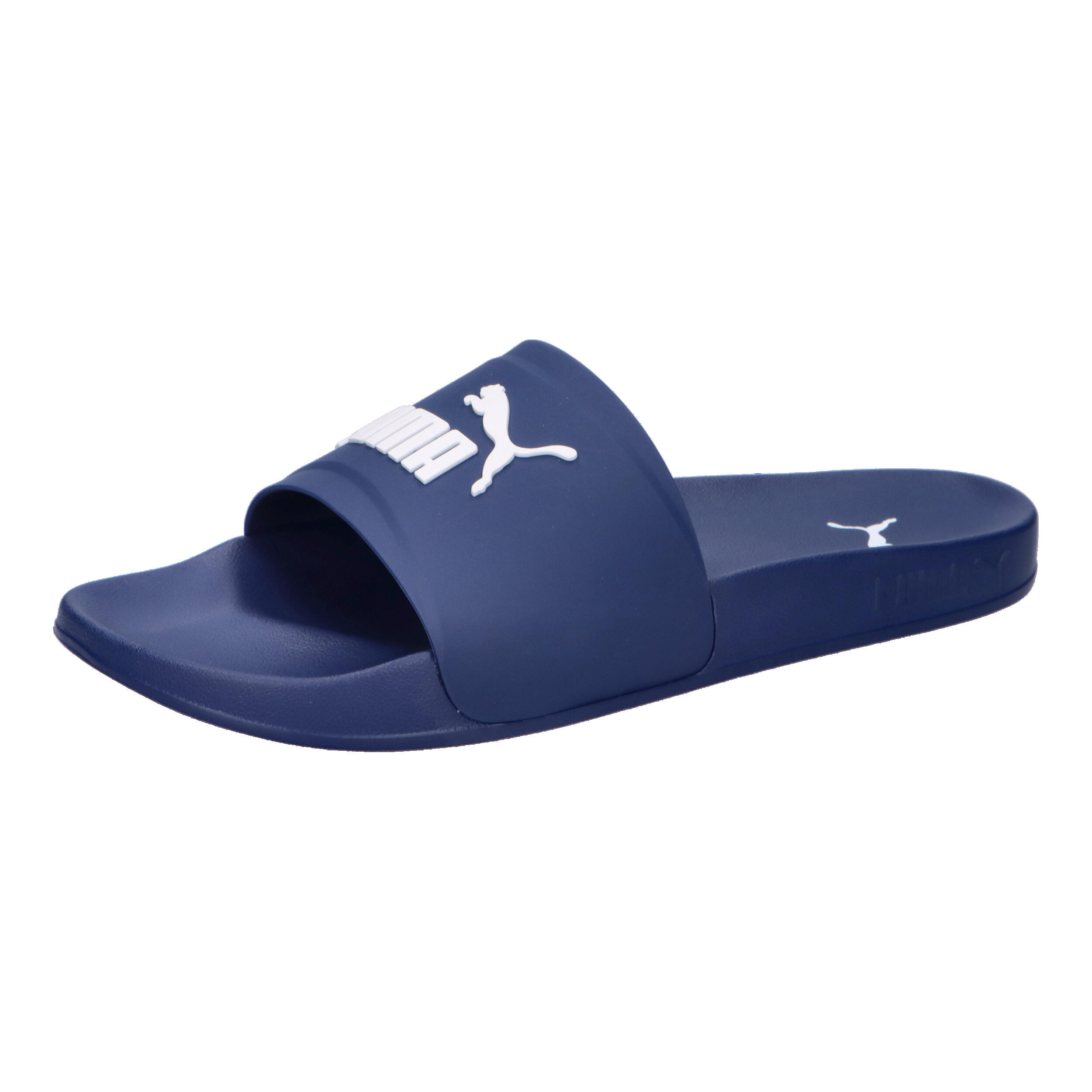 PUMA picture