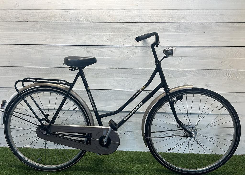 BATAVUS picture