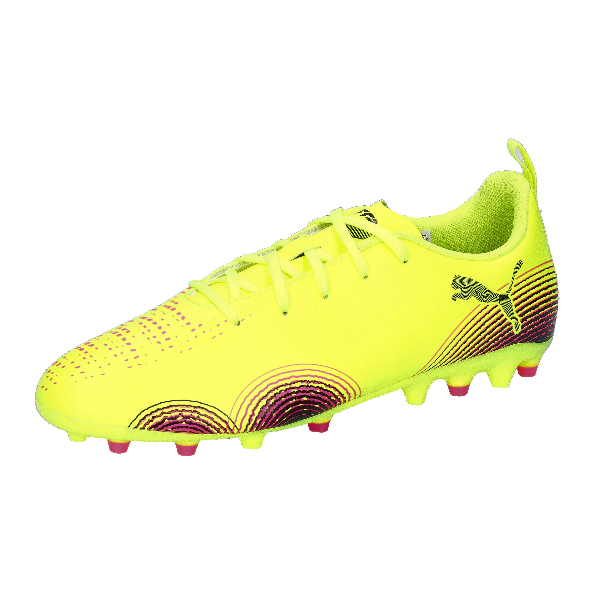 PUMA picture