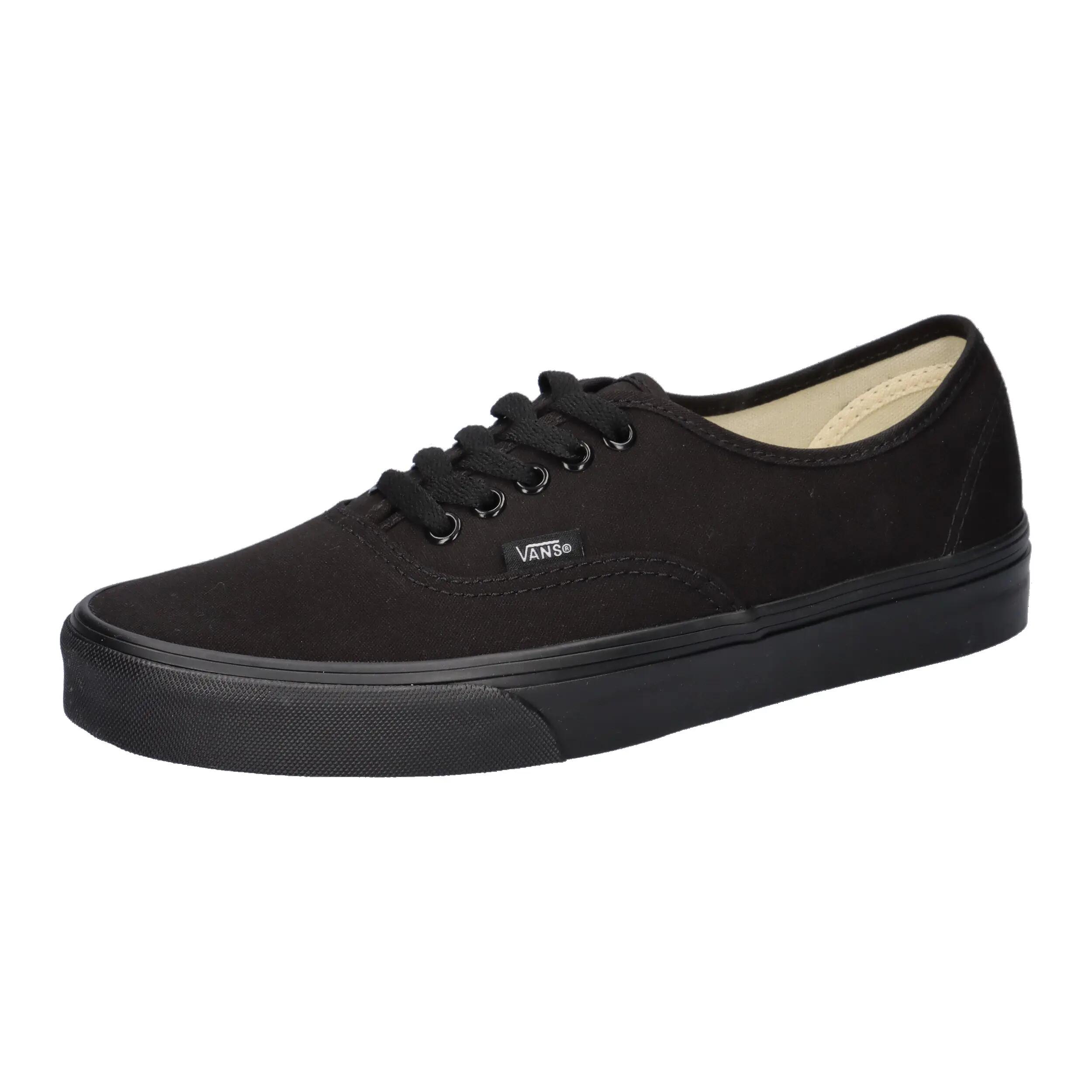 VANS picture