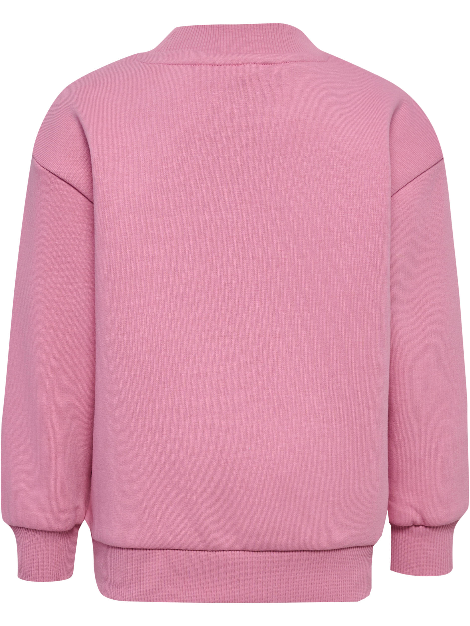 Instap Sweatshirt Hmlmini Uniseks Kinderen 2/5