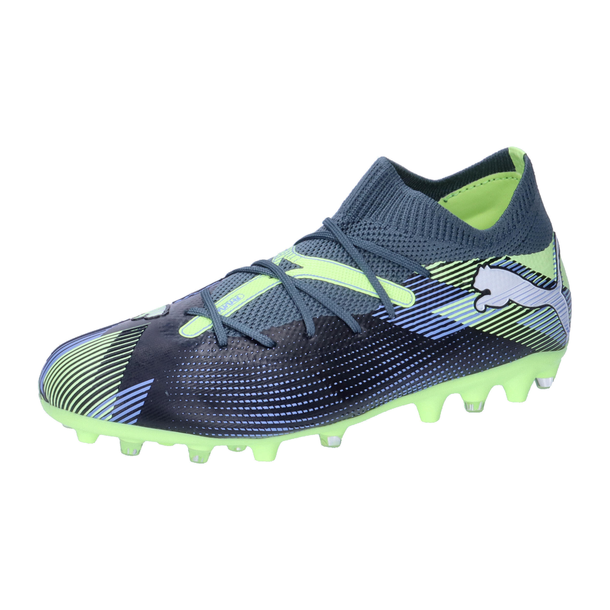 PUMA picture