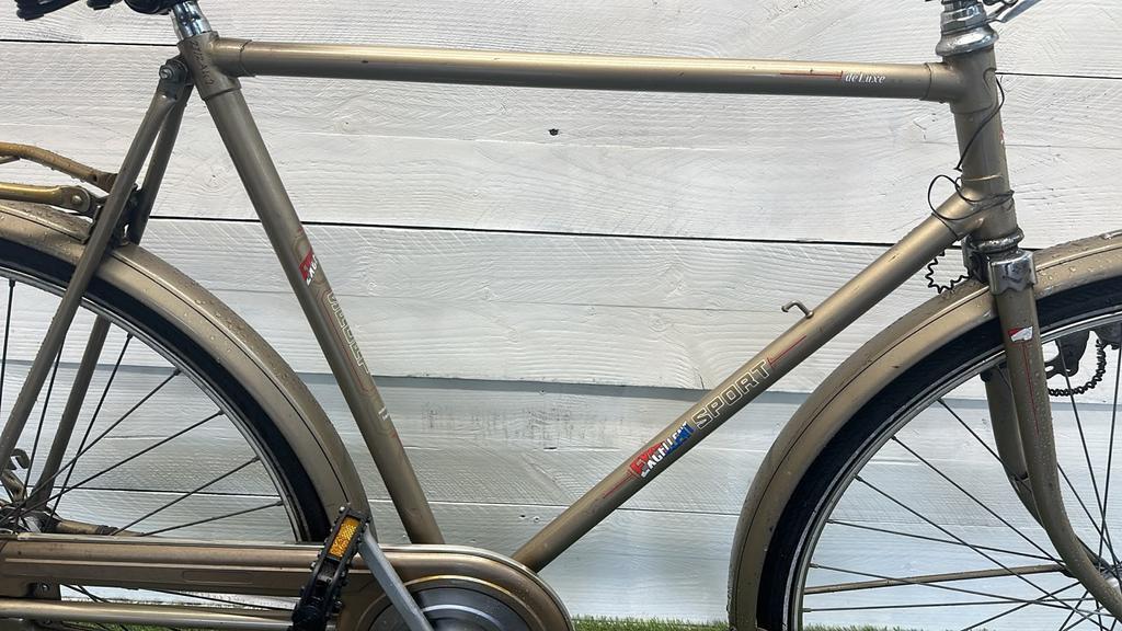 Stadsfiets 61 cm, 28" - metal/grijs, terugtraprem 2/3